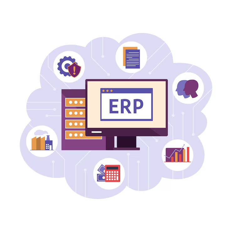 ERP Audit